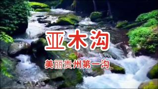蔚来app还款在哪进-分享有趣的话题和观点
