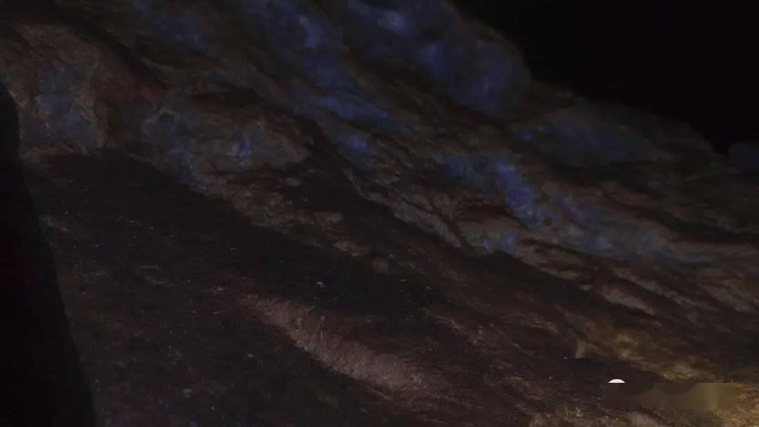 小猫钓鱼开船版最新版下载