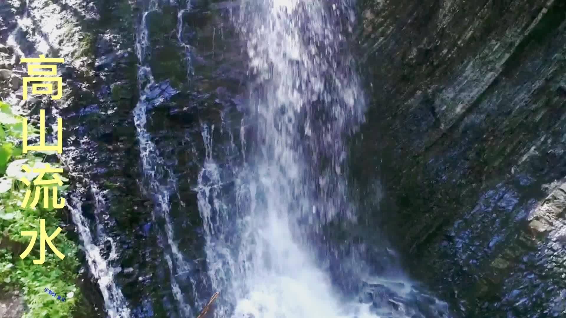 怎么看待道士下山中的演员表现？